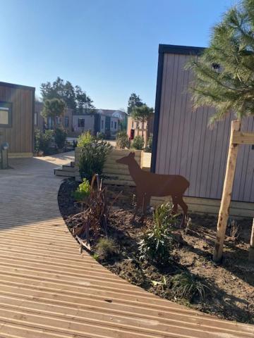 Camping de la Mer Camiers Exterior foto